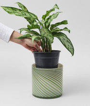Load image into Gallery viewer, Large Spiral Glass Planter - Green
