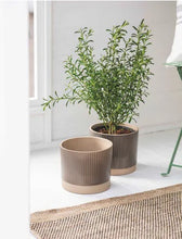 Load image into Gallery viewer, Large Stoneware Plant Pot
