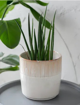 Large Ceramic Plant Pot